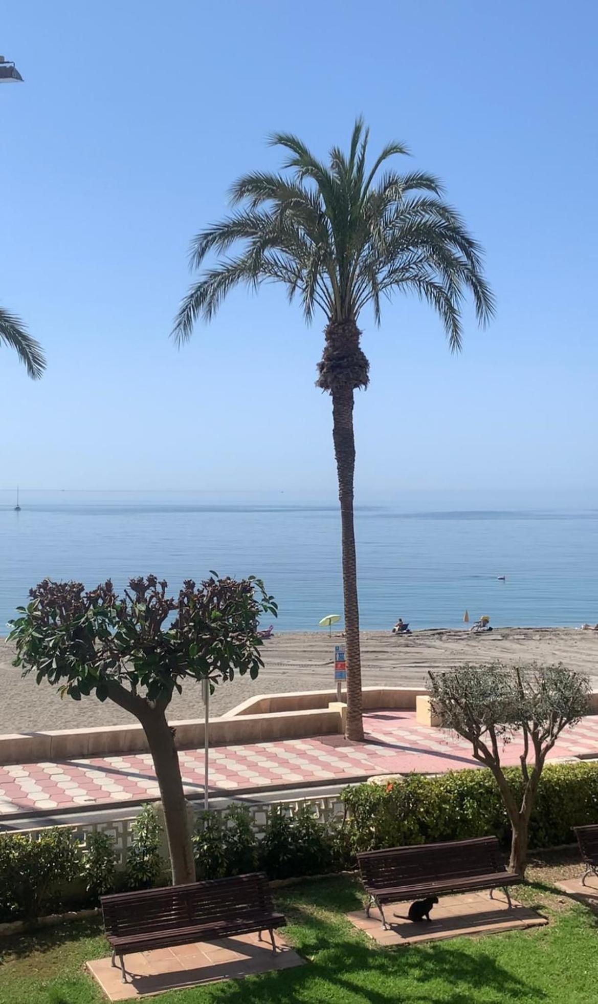 Brisas Del Mar Mediterraneo Aguadulce  Ngoại thất bức ảnh